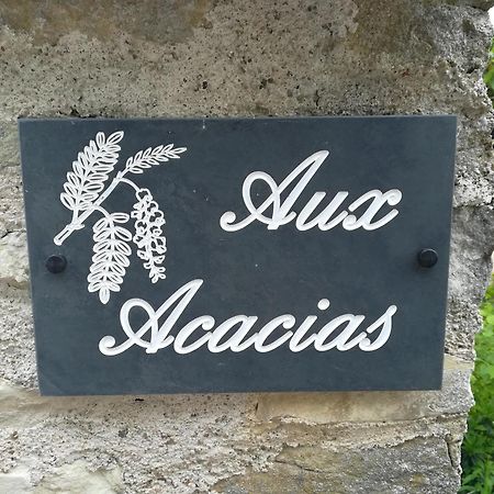 Aux Acacias Villa Braye-sous-Faye Dış mekan fotoğraf
